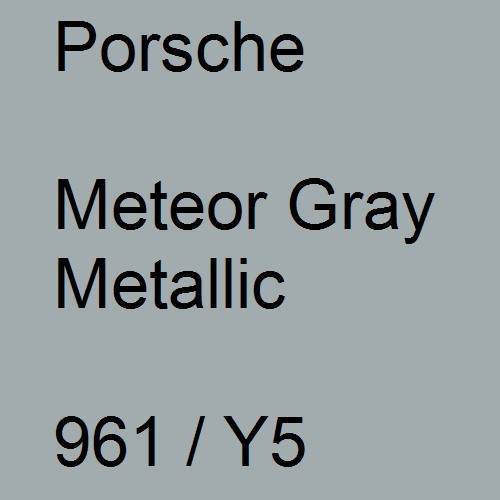 Porsche, Meteor Gray Metallic, 961 / Y5.